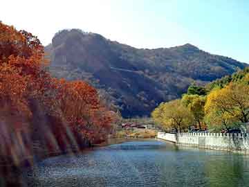 新澳天天开奖资料大全旅游团，菜鸟黑客教程